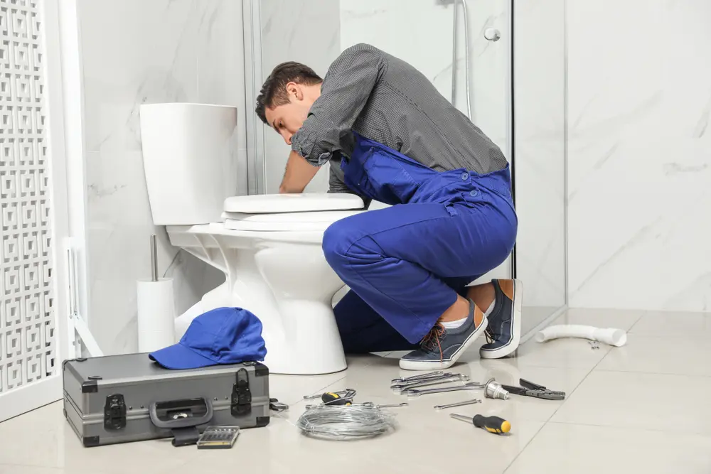 Toilet Installation in Champlin